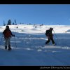 20080120_319